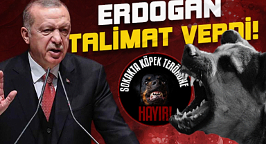 Cumhurbaşkanı Erdoğan, başıboş köpekler için talimatı verdi