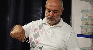 Örenler uyardı! Popülasyona zarar verilmemesi için akrep yakalanmamalı