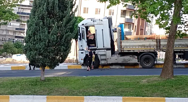 Şanlıurfa'da direksiyonu kilitlenen tır, ağaca çarparak durabildi