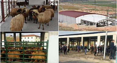 Şanlıurfa'da kurban satış ve kesim yerleri belirlendi! İşte o yerler..