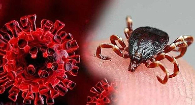 Şanlıurfa'da sıklıkla görülen o hastalık için seminer düzenlendi