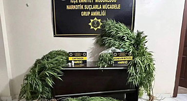 Şanlıurfa'nın iki ilçesinde uyuşturucu operasyonu