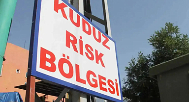 Şanlıurfa'nın o ilçesinde kuduz karantinası başlatıldı