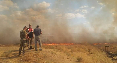 Şanlıurfa Valiliği 
