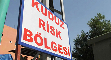 Urfa'da başıboş köpeğin saldırısına uğramıştı! Kuduz çıktı