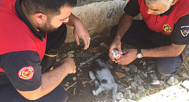 Haliliye'de çıkan yangında canlı olarak kurtarıldı