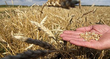 Şanlıurfa İl Müdürlüğü duyurdu! Başvurular için son iki gün