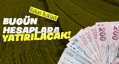 Tarımsal destek ödemeleri hesaplara yatırılıyor