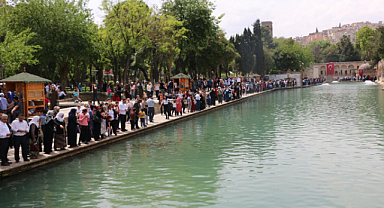 TÜİK: Giderek azalıyor