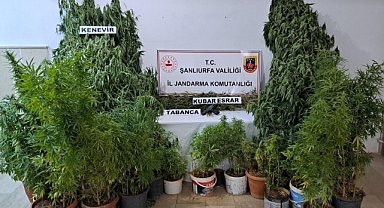 2 ilçeye uyuşturucu operasyonu: Çok sayıda gözaltı