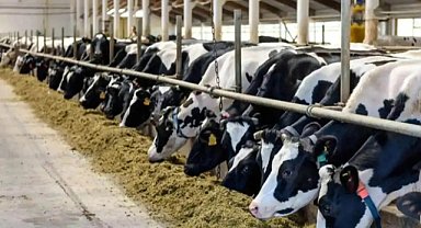 Et ve Süt Kurumu'ndan o iddialara yanıt geldi