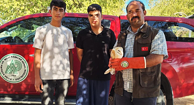 Hilvan’da yaralı halde bulundu