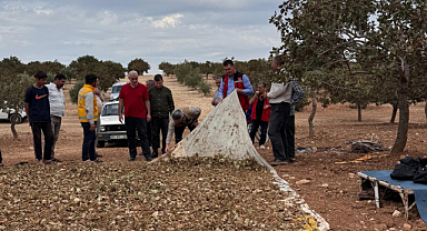 İl Tarım Müdürü Aksoy afetten zarar gören üreticileri ziyaret etti