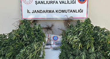 Şanlıurfa’da uyuşturucu operasyonunda 3 kişi gözaltına alındı