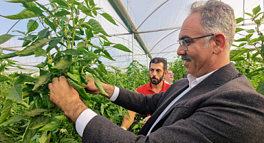 Eyyübiye’nin süs bitkileri sera kent’ten