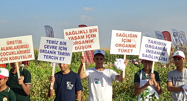 Şanlıurfa’da organik tarım şenlikleri düzenlendi