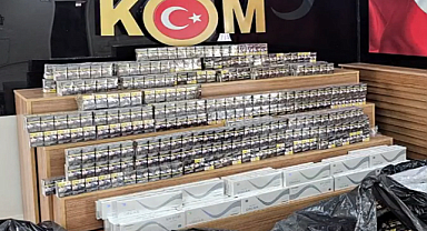 Kaçakçılık operasyonu: 1 gözaltı