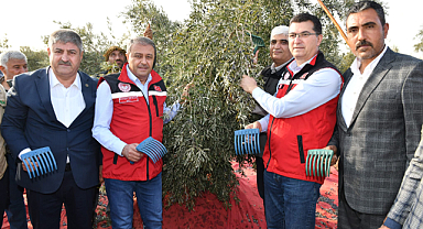 Vali Şıldak açıkladı! Şanlıurfa'da sayıları 3 milyona vardı