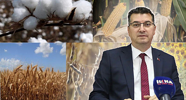 İl Tarım Müdürü Aksoy: Mısır üretiminde yasak yok