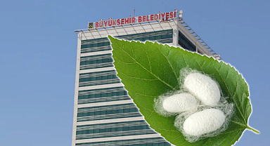 Büyükşehir Belediyesi yetiştiricilere hibe desteği verecek!
