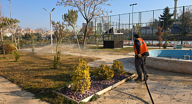 Eyyübiye’nin yeşil alanlarına özenli bakım