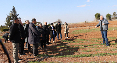 Büyükşehir belediyesi, çiftçilere anıza ekim yöntemleri eğitimi verdi