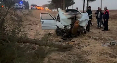 Ceylanpınar'da şarampole devrilen otomobil alev aldı: 4 yaralı