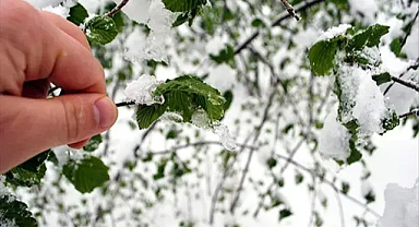 Meteoroloji zirai don için uyarı yaptı!