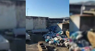 Şanlıurfa'da bir binanın çatısında bulunlar pes dedirtti