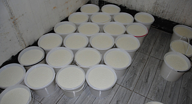 Şanlıurfa’da üretim izni olmayan 500 kilogram yoğurda el konuldu