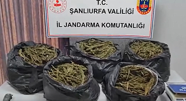 Şanlıurfa'da uyuşturucu tacirlerine operasyon: 7 gözaltı