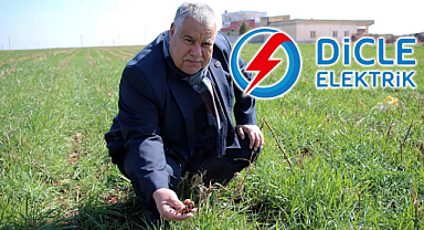 DEDAŞ duyurdu! O çiftçilere elektrik verilmeyecek!
