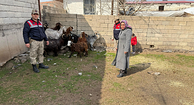 Şanlıurfa'da hayvan hırsızları yakalandı