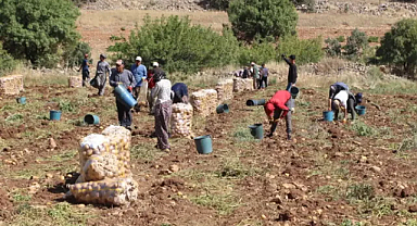 Mevsimlik tarım işçisi çocuklarının eğitimi için yeni düzenleme