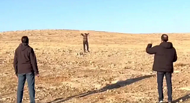 Şanlıurfa’da PKK/YPG üyesi teslim oldu