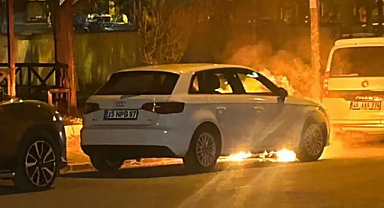 Birecik'te park halindeki otomobil alev aldı