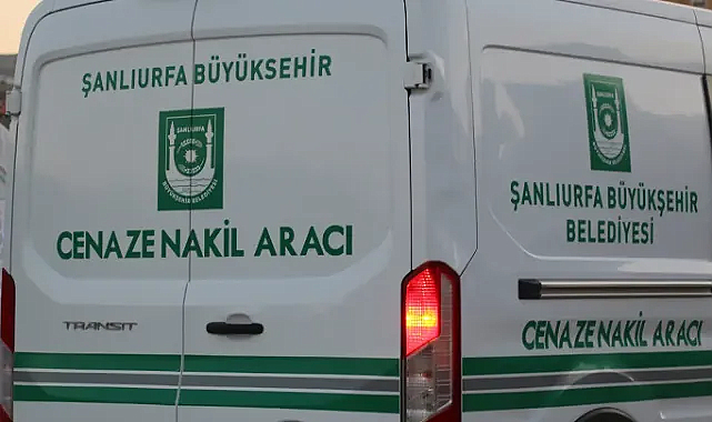 Ceylanpınar'da Koyun Otlatırken Otomobil Çarptı