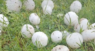 Etkili olan dolu yağışı ile ilgili valilikten açıklama! Hasar tespiti başlatıldı