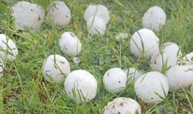 Etkili olan dolu yağışı ile ilgili valilikten açıklama! Hasar tespiti başlatıldı