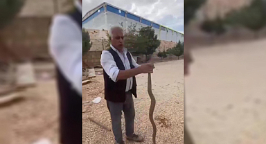Şanlıurfa'da tavuklarını yediğini iddia ettiği yılanı yakalayıp sosyal medyada paylaştı