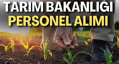 Tarım ve Orman Bakanlığı 8.500 personel alacak! Başvuru şartları belli oldu