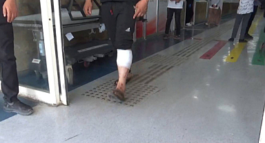 Şanlıurfa'da 176 acemi kasap hastanelik oldu
