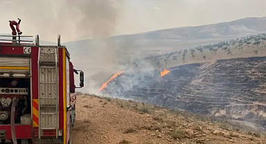 Şanlıurfa'da buğday ekili alan yandı