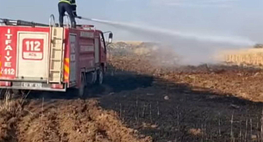 Buğday tarlasında yangın: 170 dönüm alan kül oldu