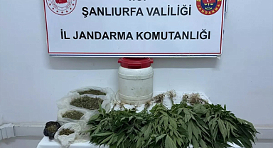 Şanlıurfa'da uyuşturucu operasyonu: 1 gözaltı