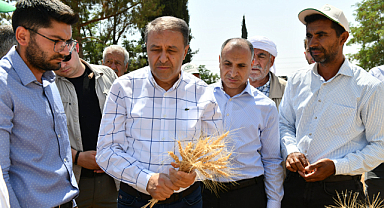 Vali Şıldak buğday hasadına katıldı: “Şanlıurfa tarımın lokomotifi olmaya devam ediyor”
