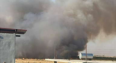 Viranşehir’de 350 dönüm buğday tarlası yanarak kül oldu