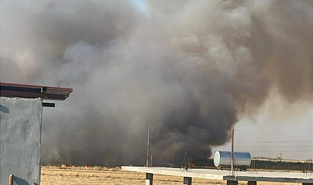 Viranşehir'de 350 dönüm buğday tarlası yanarak kül oldu