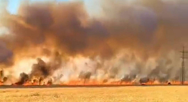  Viranşehir'de yangın: Yaklaşık bin dönüm buğday tarlası kül oldu
