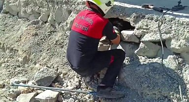 Beton altında mahsur kalan 2 yavru kedi kurtarıldı
